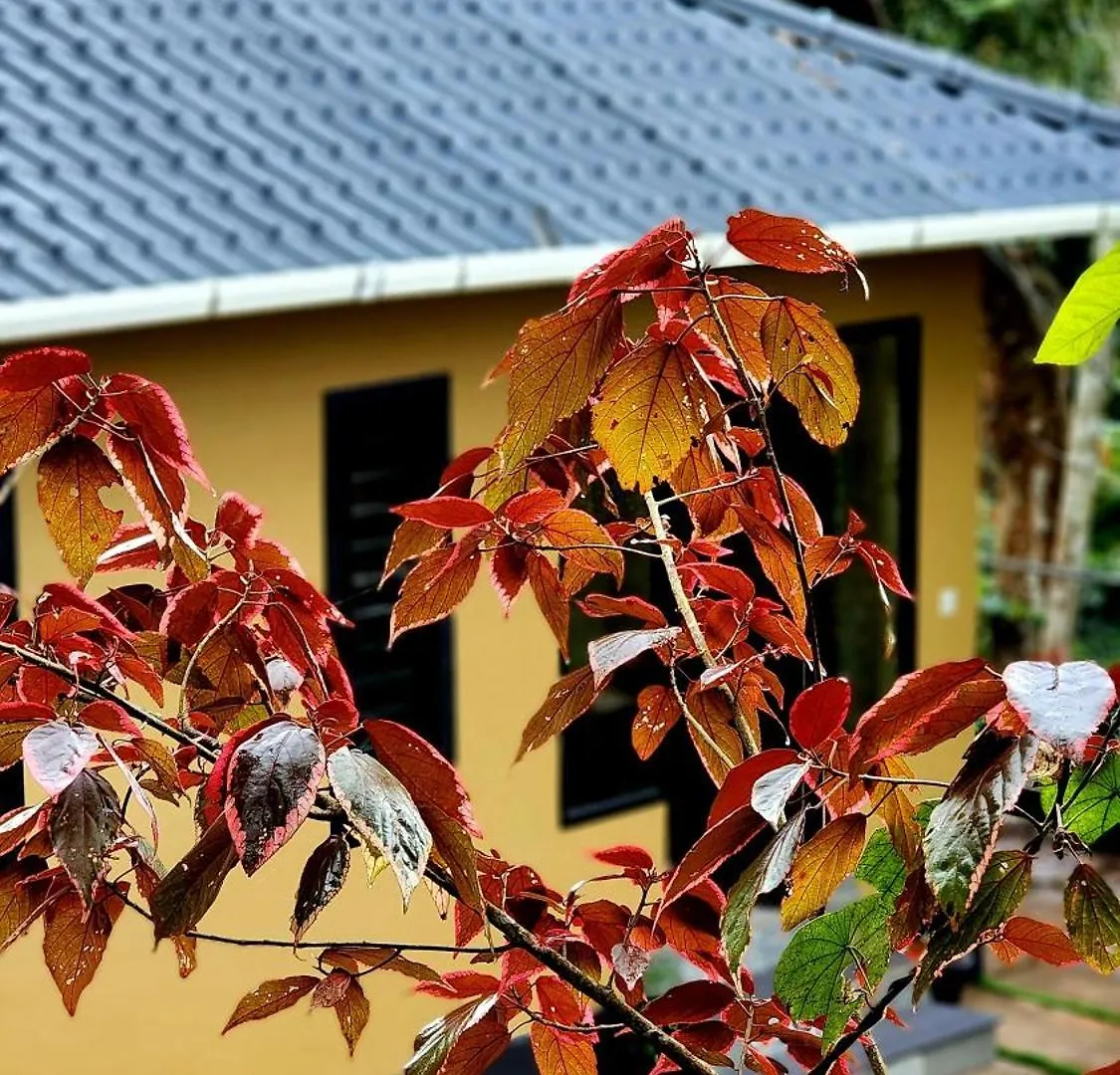 Hospitality Glendale Wayanad Villa Holiday home