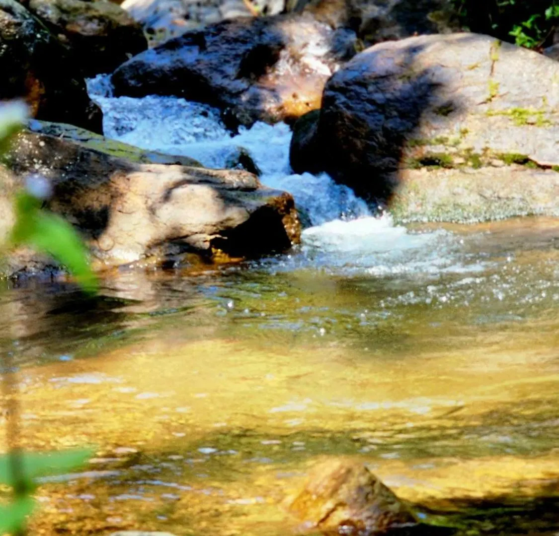Hospitality Glendale Wayanad Villa Holiday home