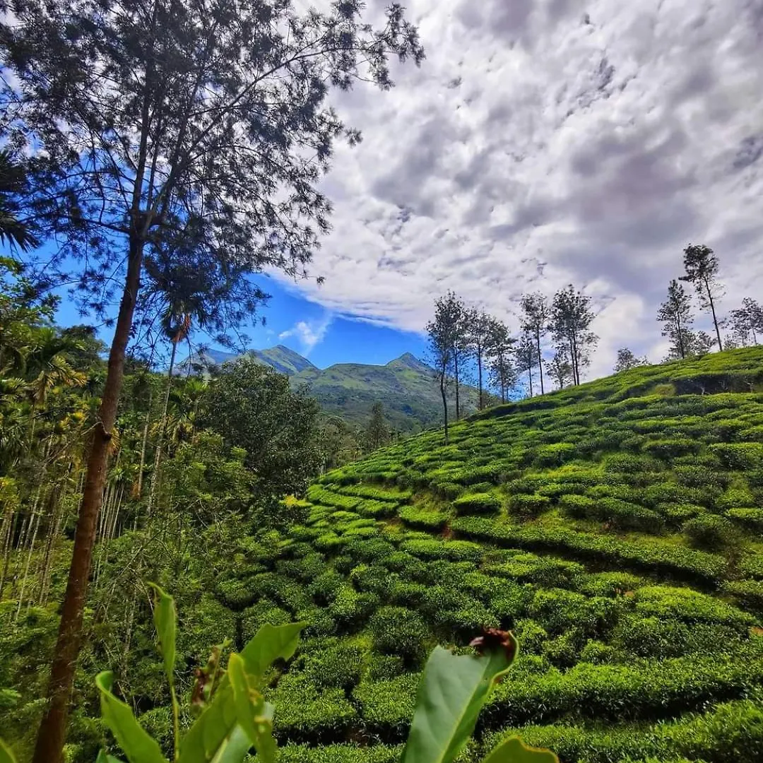 Hospitality Glendale Wayanad Villa Holiday home