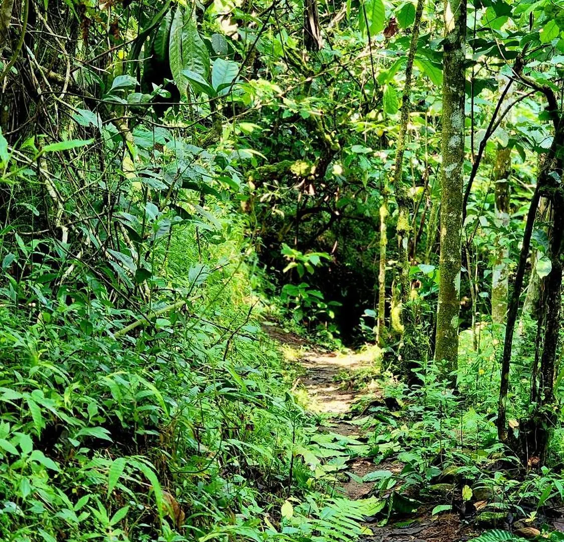 Hospitality Glendale Wayanad Villa Holiday home