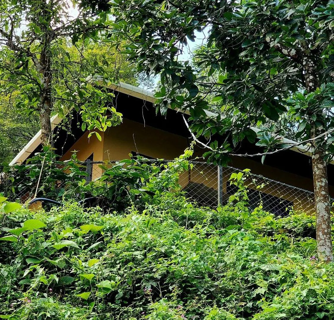Hospitality Glendale Wayanad Villa
